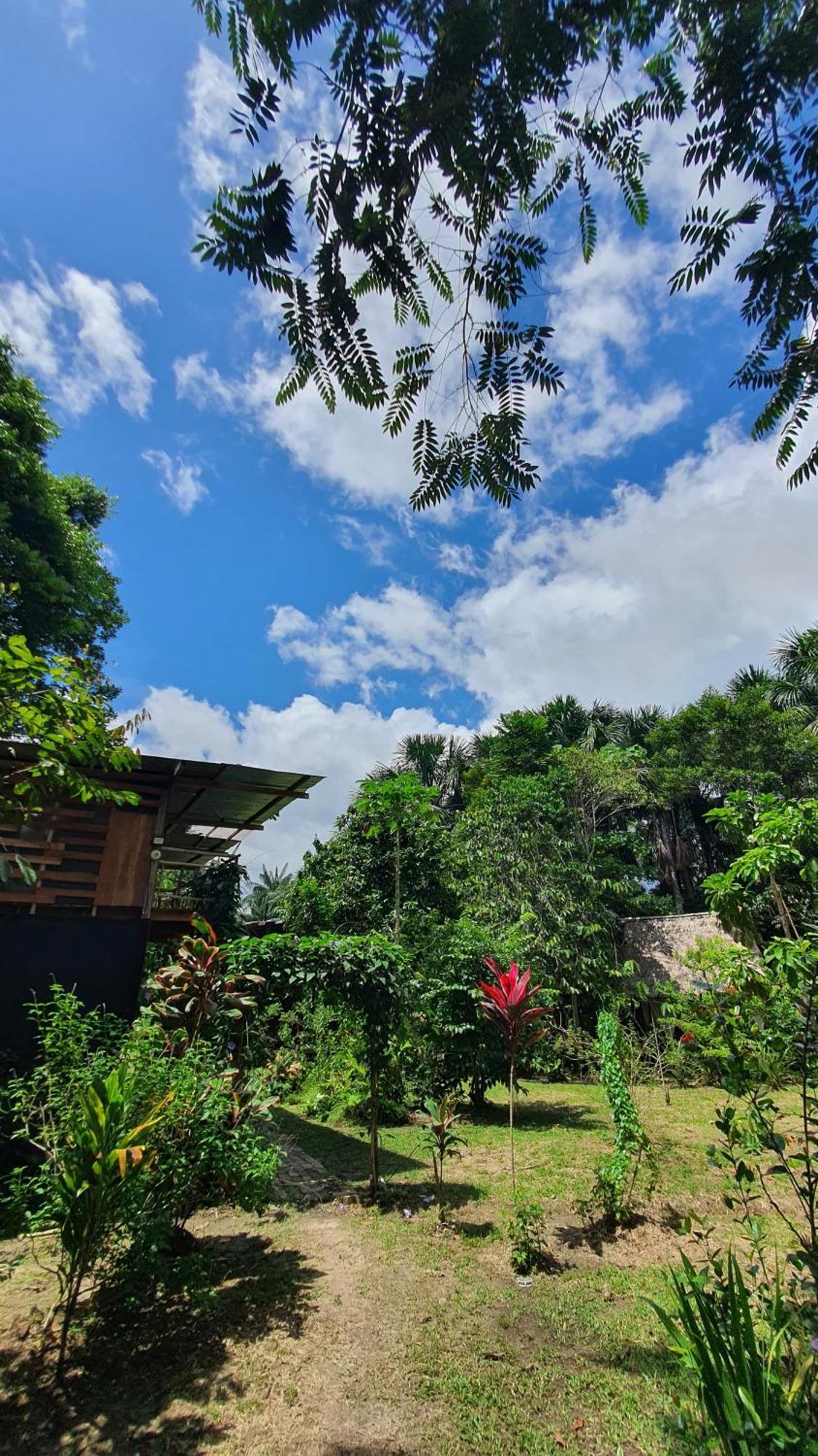 Amazona Lodge Leticia Exterior foto